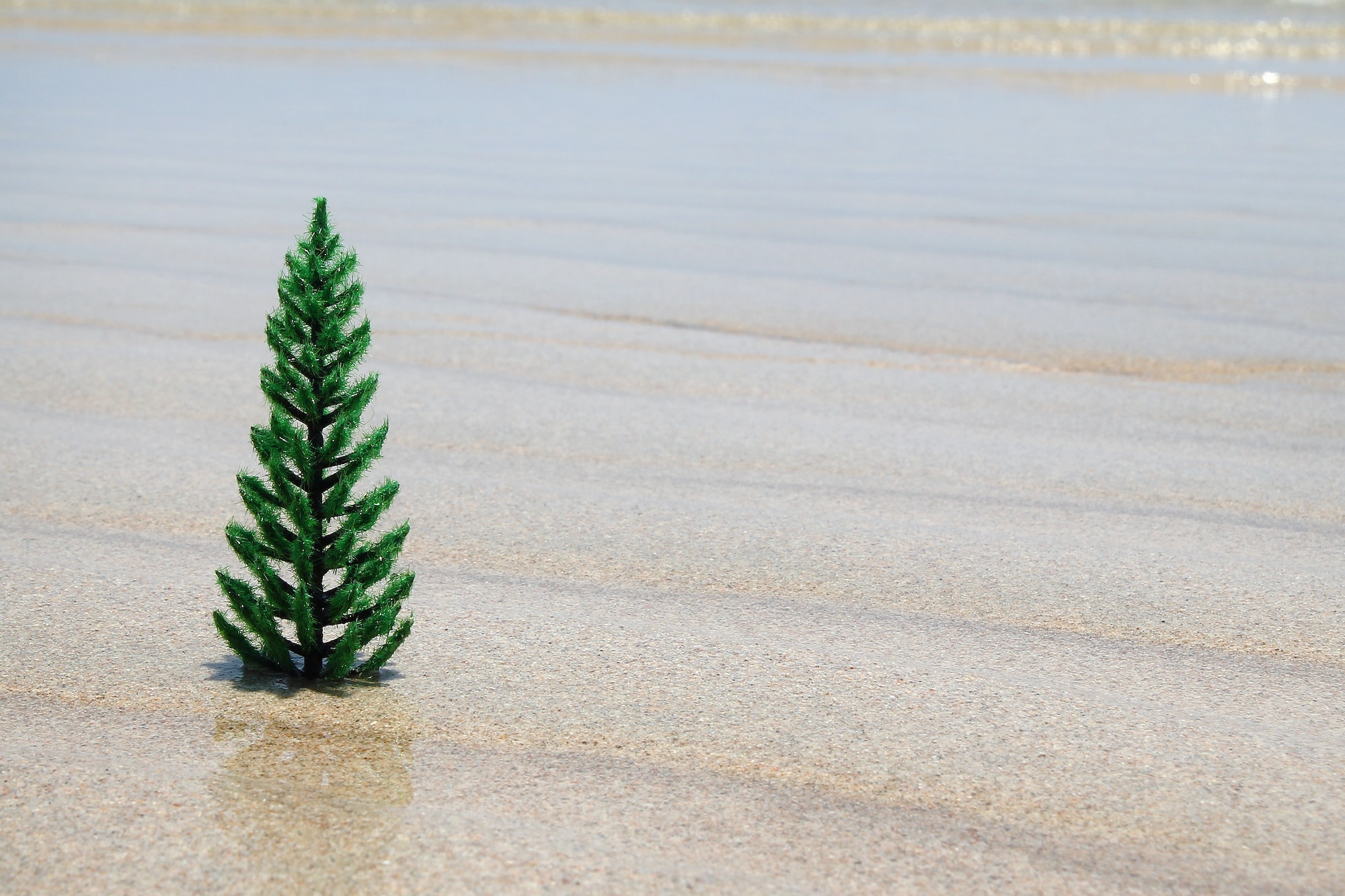 Small artificial Christmas tree on the white sand beach on the background of blue sky